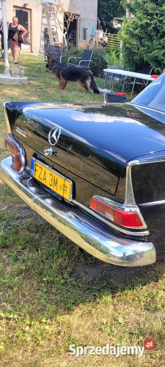 Mercedes w110 1966 r zarejestrowany na żółte 20000km Lubsko sprzedam