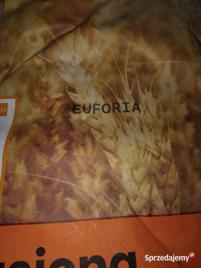 Pszenica euforia z nawozem donasiennym podwójnie