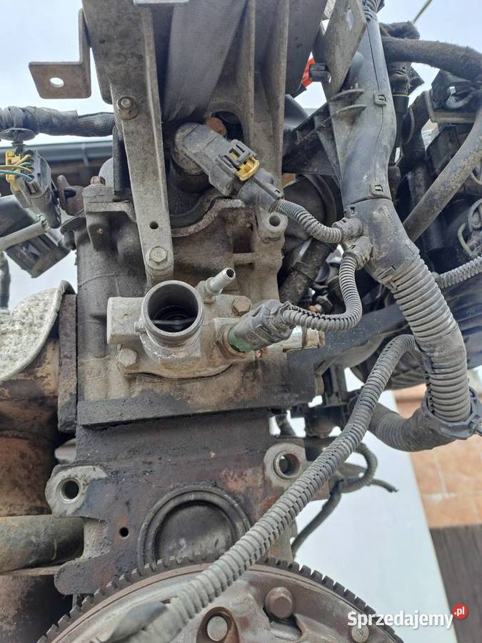 Fiat Doblo 14 8V 77 silnik kod 350A1000 dostawcze Jastrzębie-Zdrój