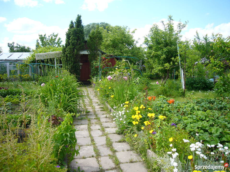 Działka Olsztyn 4 ary prąd Olsztyn sprzedam