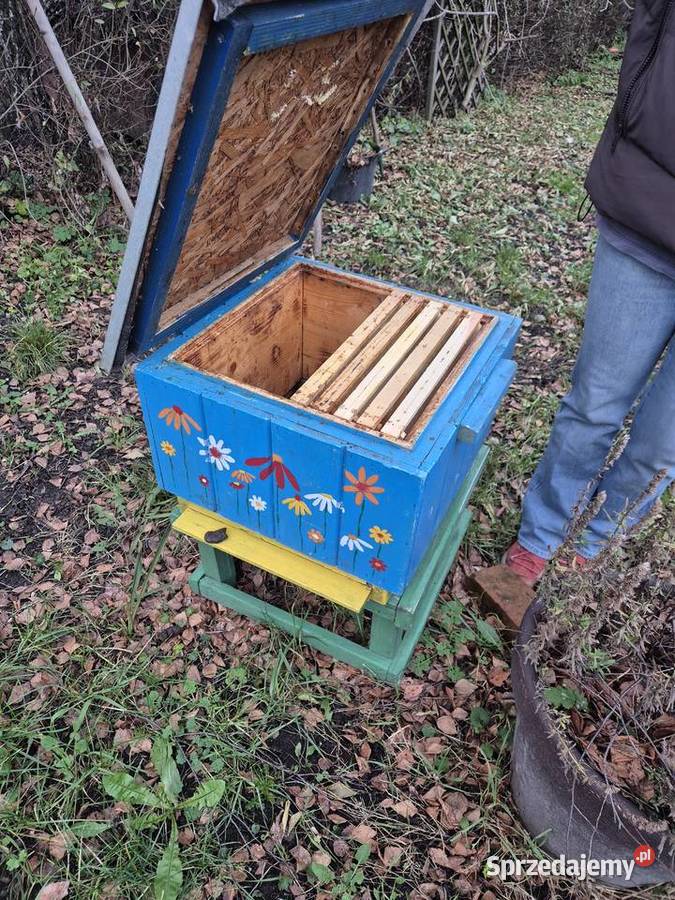 Syndyk sprzeda dwie pasieki ule 35 i 17 Roszkowo