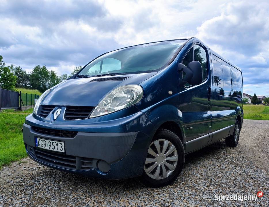 Renault Trafic 20 dCi 115 2009 9 osobowy 340 nieuszkodzony podkarpackie Domaradz
