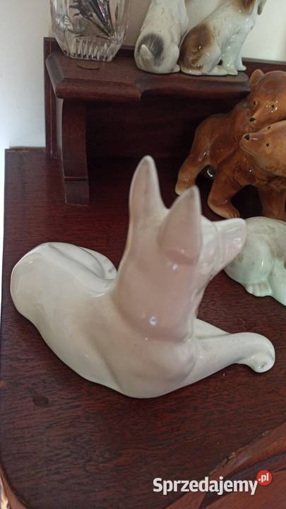 Piesek leżący biały Figurka porcelanowa Śliczny pomorskie Gdańsk