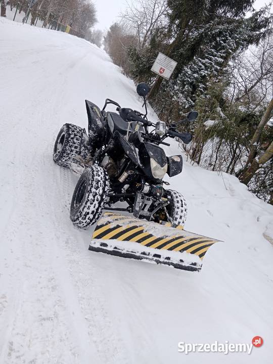 Sprzedam Quada EAGLE 250 Eagle Motorsports Sielec sprzedam
