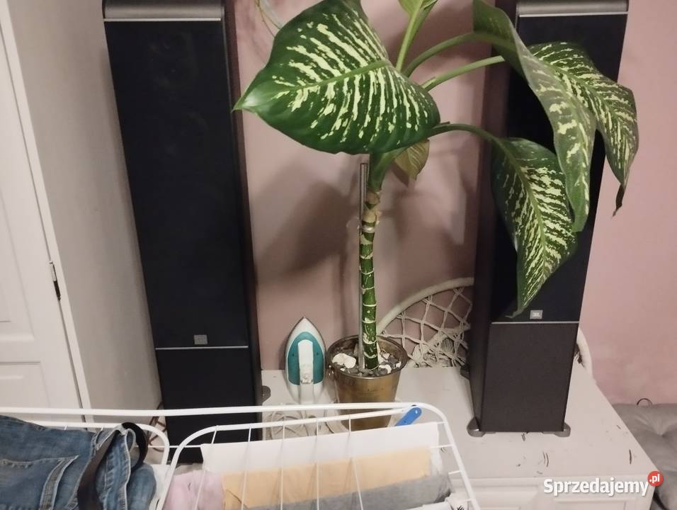 Sprzedam kino domowe LG Zestawy kina domowego dolnośląskie Zofiówka