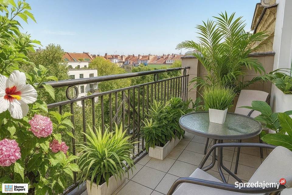 3pok 72met Reja ROZKŁADBALKONPIWNICA Wrocław Sprzedaż dolnośląskie