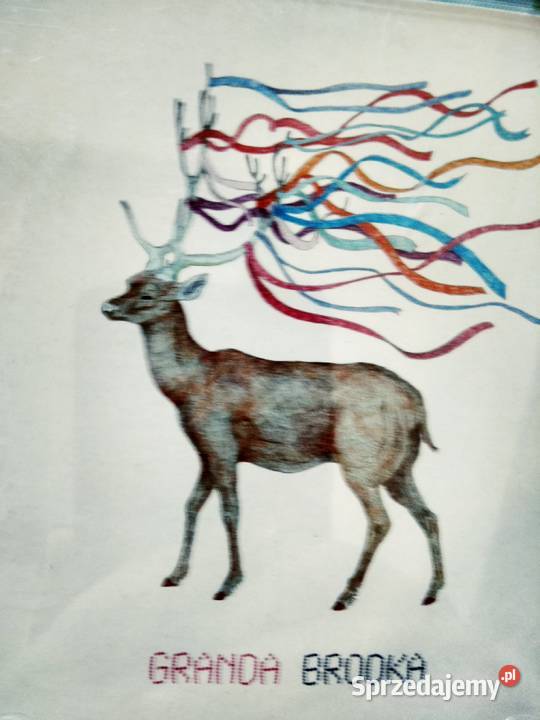 Granda Brodka płyty kolekcja księgarnie Warszawa 1 płyta sprzedam