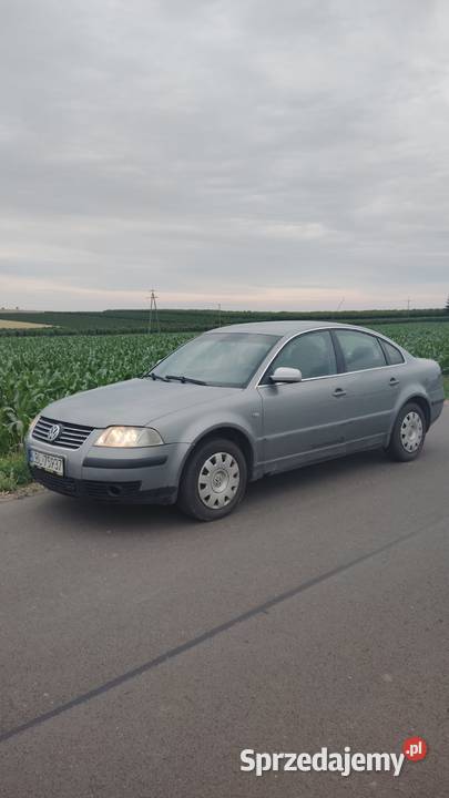 Volkswagen Passat B5 Rybczewice Pierwsze
