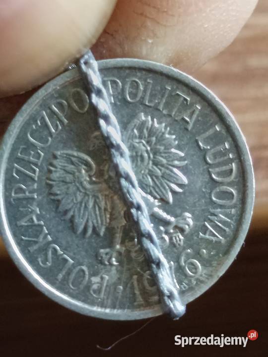 Sprzedam 10 gr 1976 r skretka Chełm