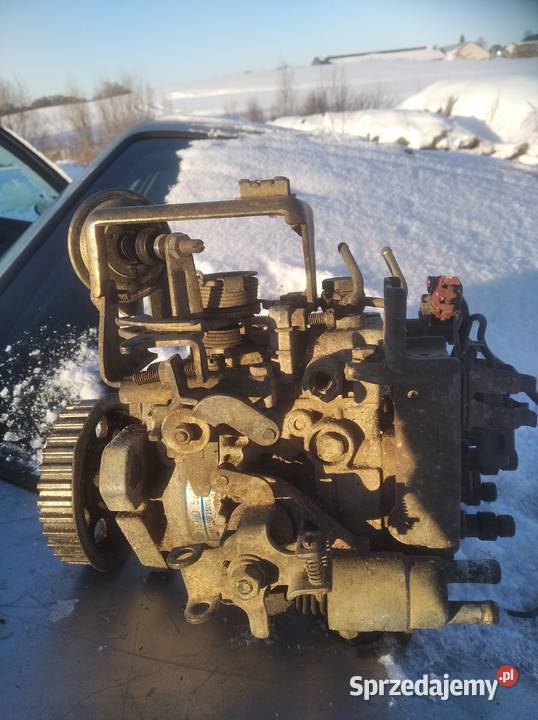 nissan primera Puńsk