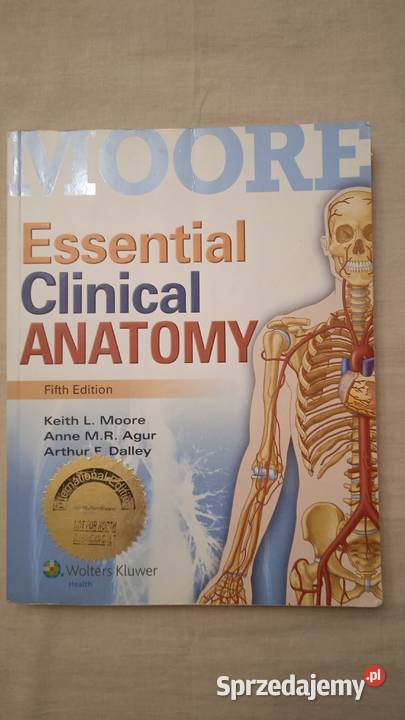 Essential Clinical Anatomy Keith Moore Warszawa