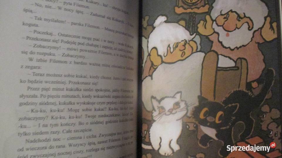 Przygody kota Filemona Brzechwa Andersen Książki dla dzieci Łódź
