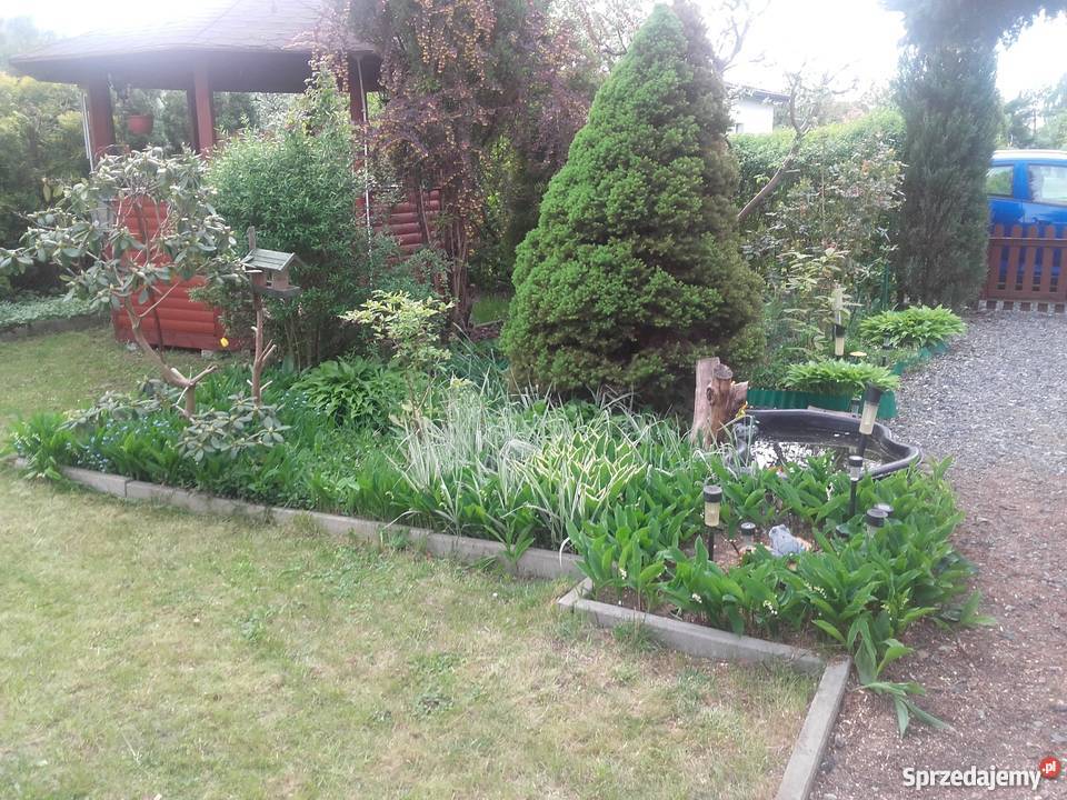 Sprzedam działke rekreacyjną w Szałe Opatówek