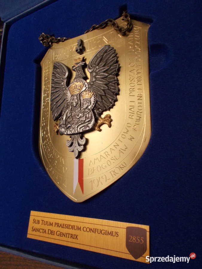 Ryngraf1szy Pułk Ułanów9 maja 1942Pod Twoją zachodniopomorskie Szczecin