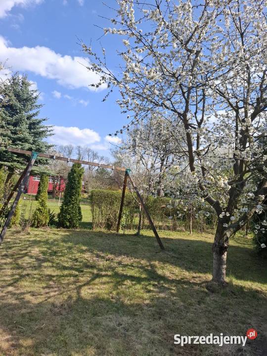Sprzedam działkę rekreacyjną ROD Magnolia w Legnica