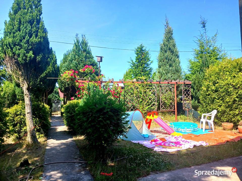 Działka ROD Szczecin Sprzedam