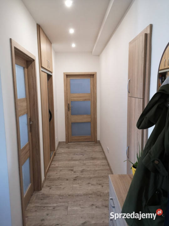 Mieszkanie 2 Pok Pokój CENTRUM 50m2 Miejsce Liczba pokoi 2 świętokrzyskie