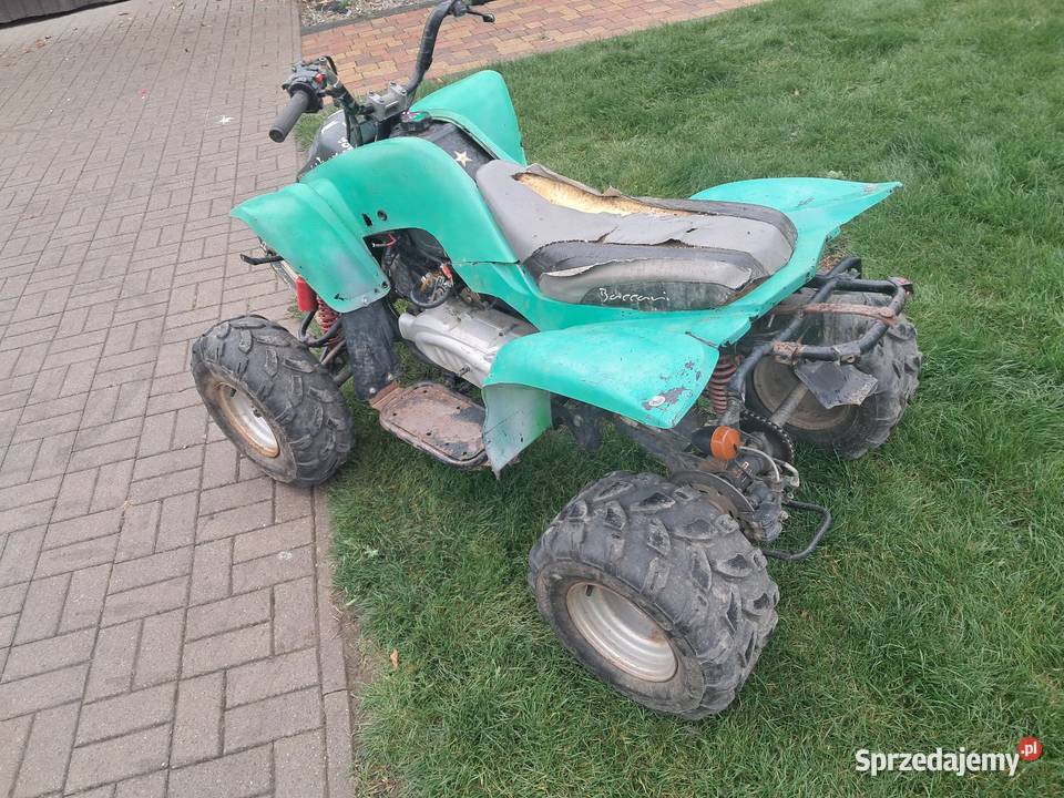 Quad 125 bashan