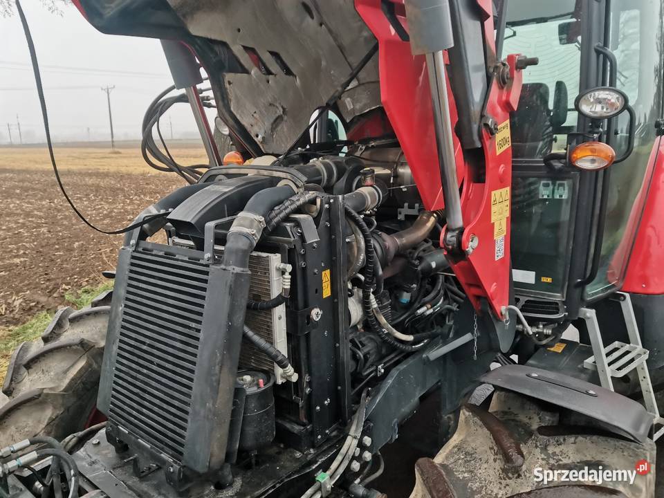 Zetor Proxima 120hs dolnośląskie Przyłęk