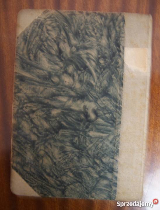 Pola Gojawiczyńska Krata 1948 literatura piękna - proza polska Parczew