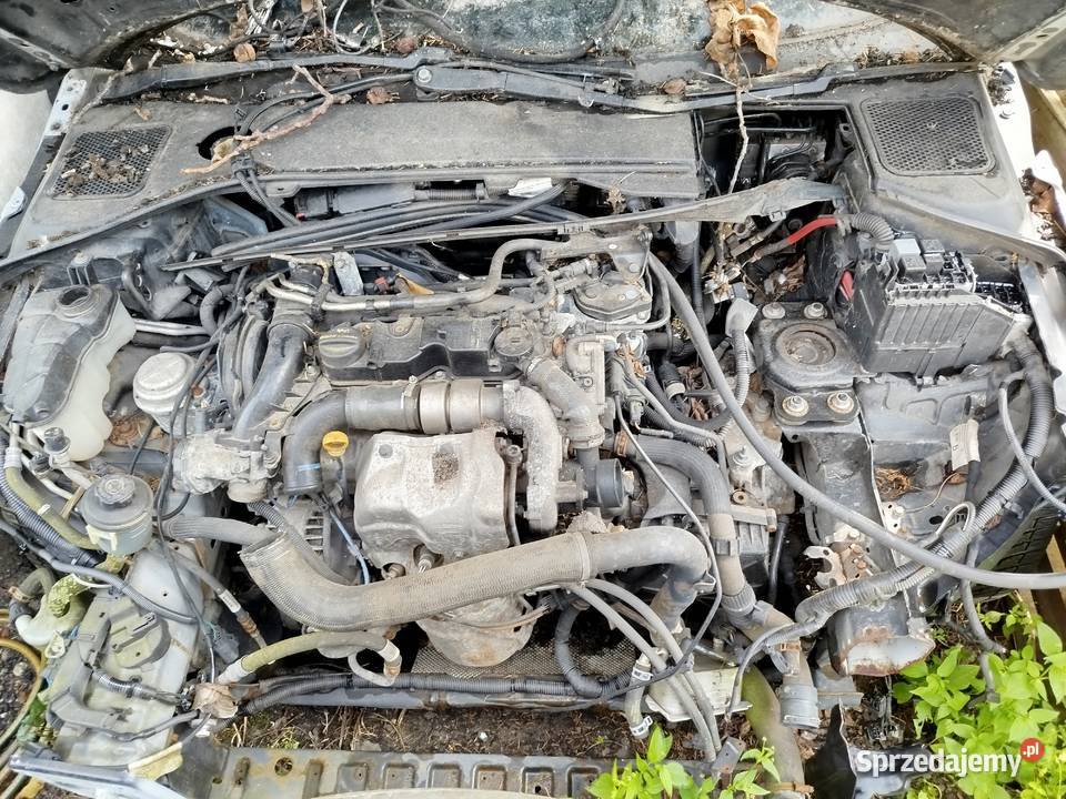 Volvo V60 16 diesel D2 2011 Gorzów Wielkopolski