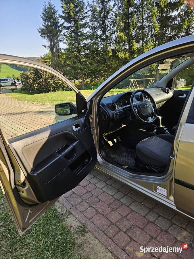 Ford fiesta Czaszyn