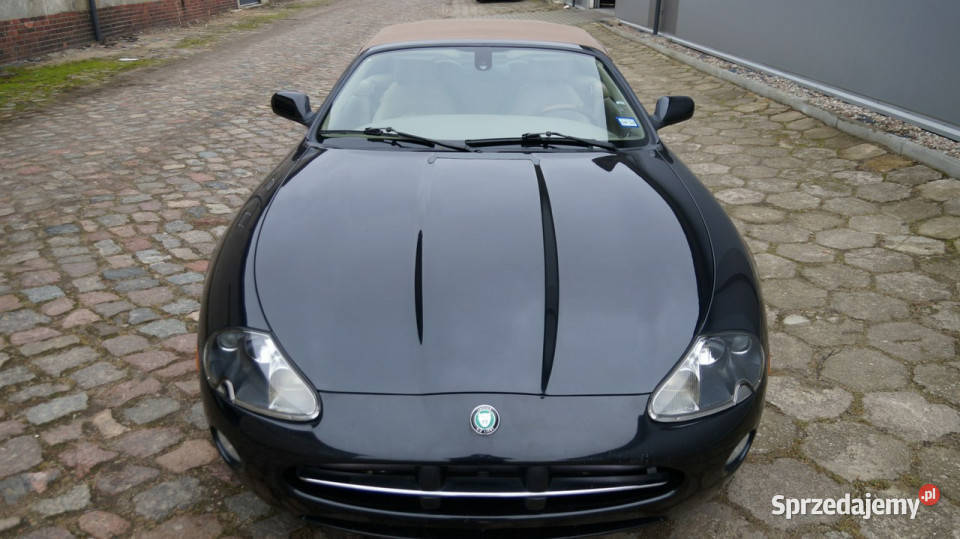 Jaguar XK8 42 V8 Automat XK8 Lift Stan Koszalin