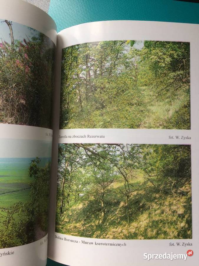 3428 Przewodnik Rezerwacie Przyrody Bielinek Antykwariat Szczecin sprzedam