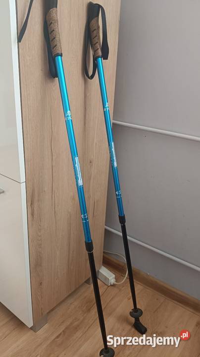 Kijki do nordic walking Łęczyca