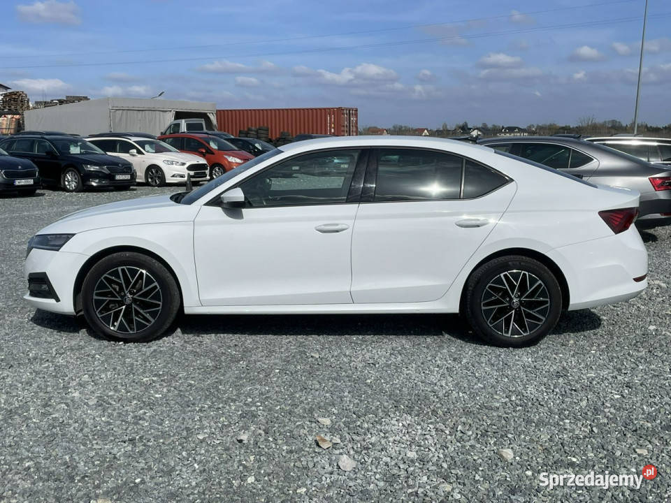 koda Octavia 20TDi 2021 150 Ambition DSG kamera pełny VAT Wojkowice sprzedam