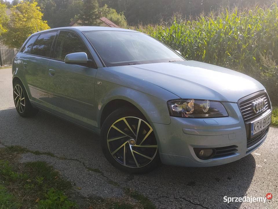 Audi S3 8P 16LPG klima 102KM Sieciechowice sprzedam