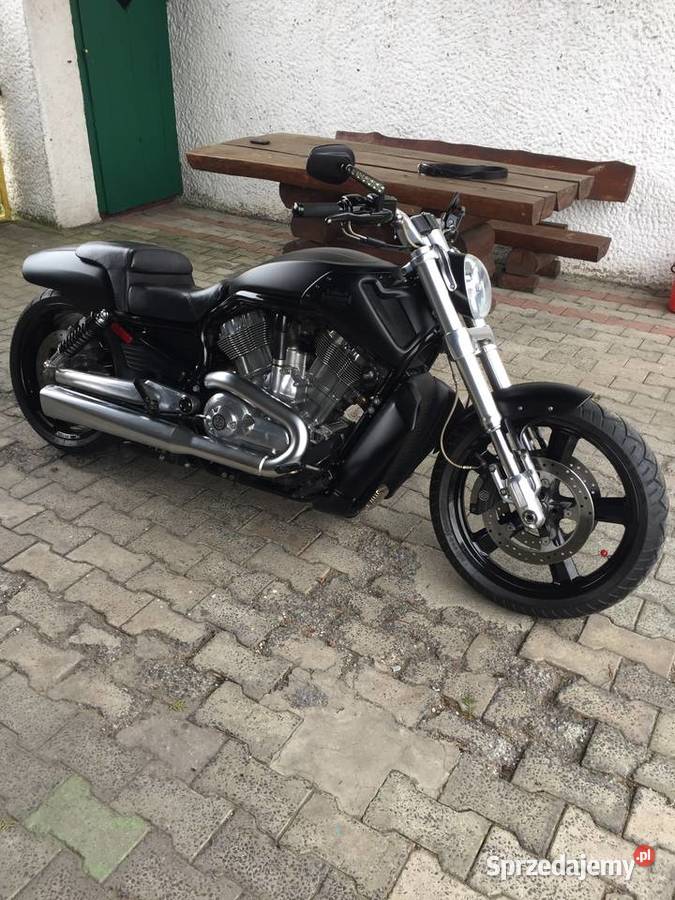 Harley Davidson v rod Muscle sprzedam