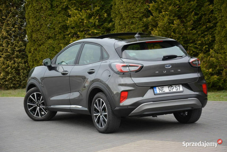 Ford Puma Panorama Radar ACC Ledy Duża Navi ASR (kontrola trakcji) Ostrów Mazowiecka