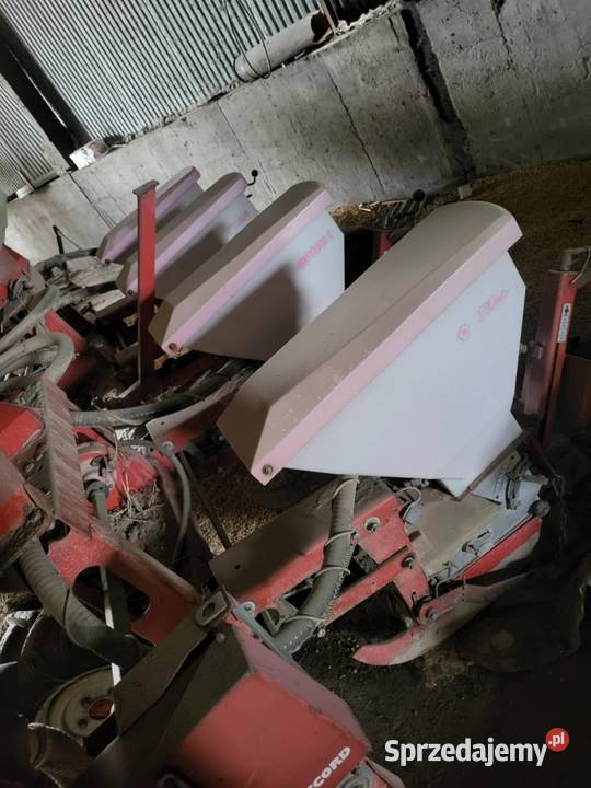 Siewnik kukurydzy 4 rzędy accord optima