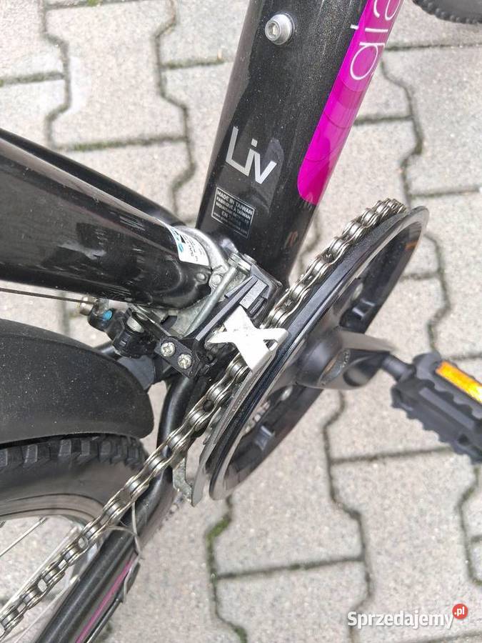 Rower górsku Giant uszkodzona przeżutka wielkopolskie