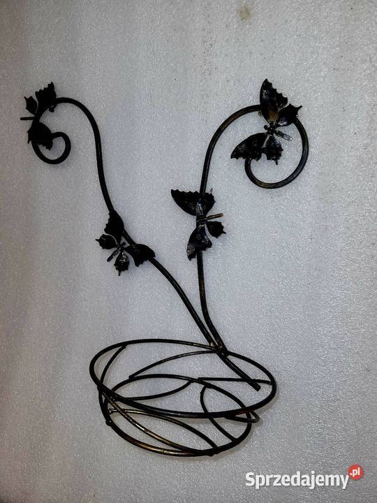 Kwietnik metalowy Motylki małopolskie Kąśna Górna