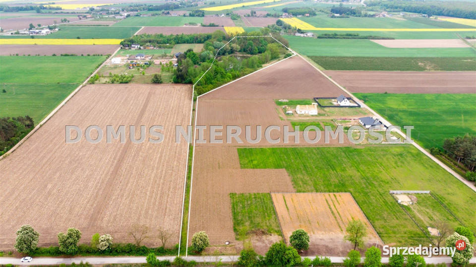 Grunt 43352m2 Kutno sprzedam