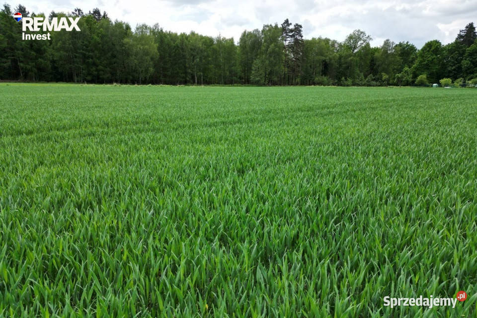 Piękne działki Kiczyce 2090 m utwardzona śląskie