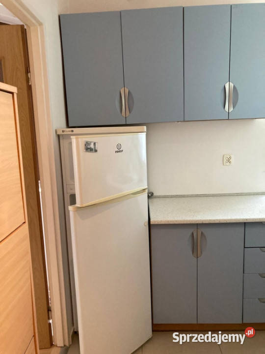 KAWALERKA na wynajem 285m2  ORUNIA  Turkusowa 3 piętra i więcej Mieszkania