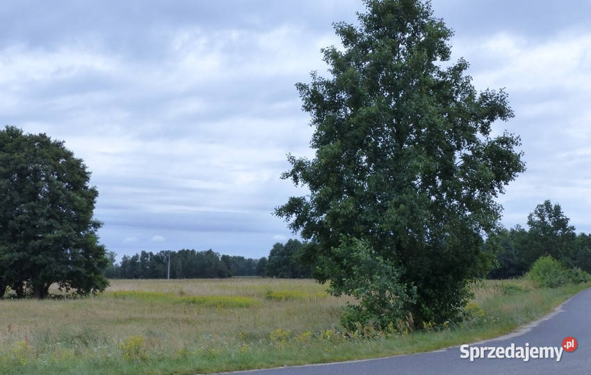 Działki rolnobudowlane k Płocka Lipna Małomin