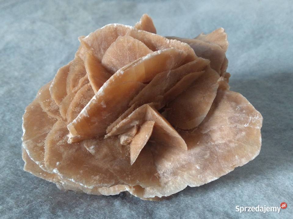 Róża Pustyni kamień ozdobny z Sahary 12 07 Pozostałe Warszawa