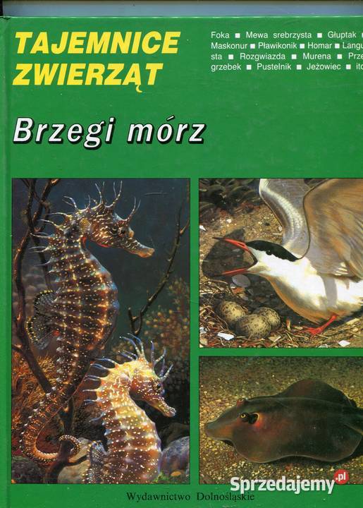 Tajemnice zwierząt Brzegi mórz Rok wydania 1981 Pozostałe Szczecin