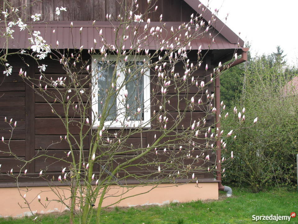 dom do przeniesienia i rozbiórki lubelskie