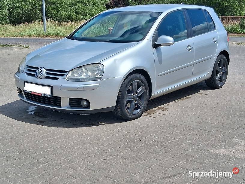Volkswagen Golf 19 TDI 105 Klimatronic Słupca sprzedam