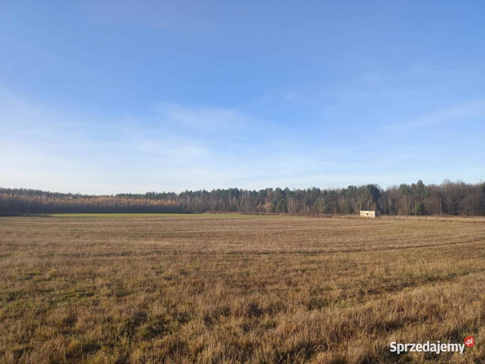 sprzedam las ponad 9 hektara podkarpackie Załuże