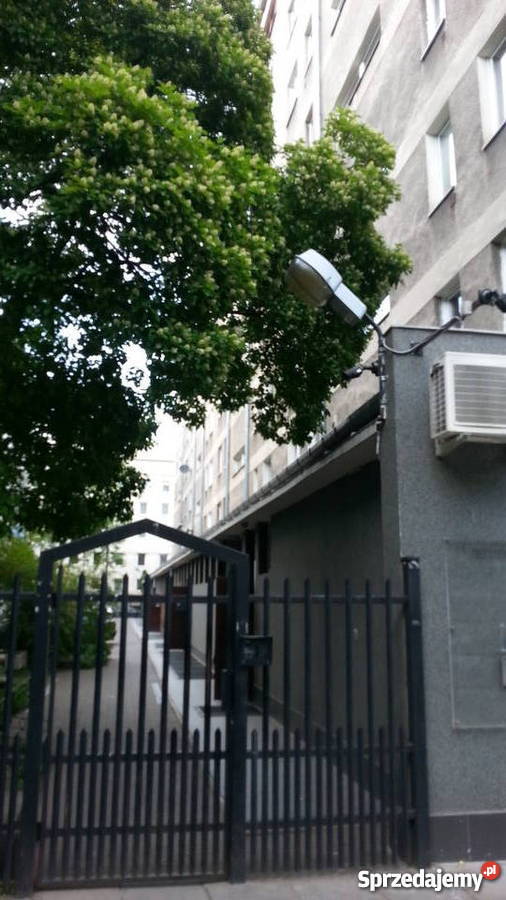 Dwupokojowe ulica Krucza 2331 układ i Warszawa