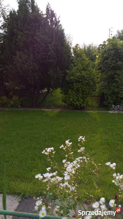 Sprzedam Działkę ROD
