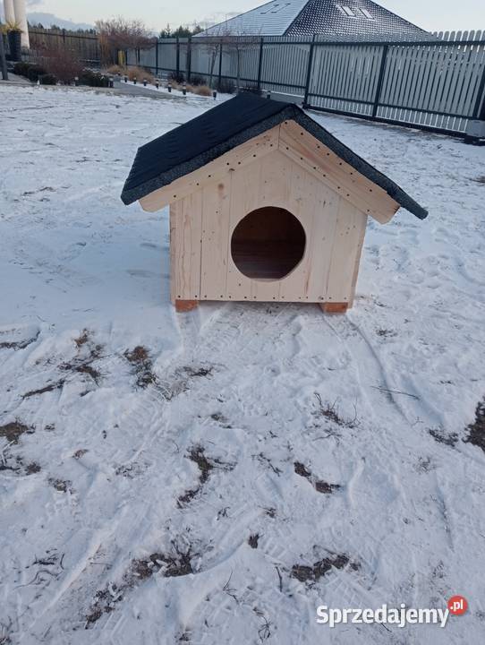 Buda psa legowisko mazowieckie sprzedam