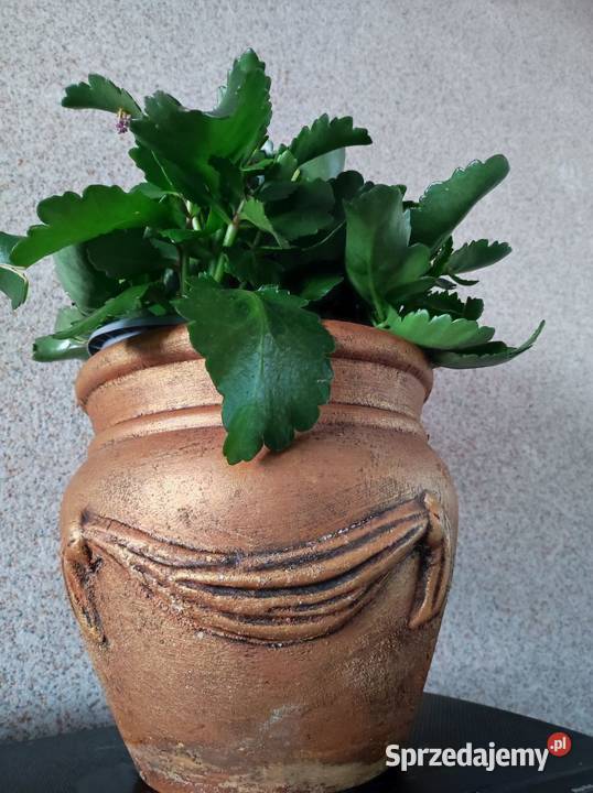 ceramika kamionka dzban donica włoska misa