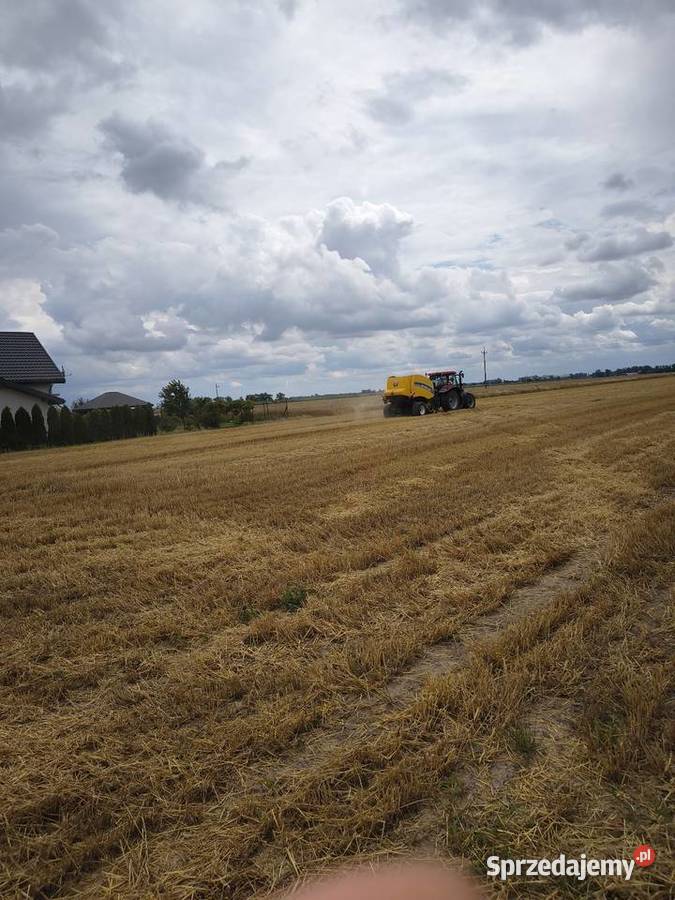 Sprzedam słomę jęczmienna 25 ha jarą zbior Rolnictwo Łubno sprzedam